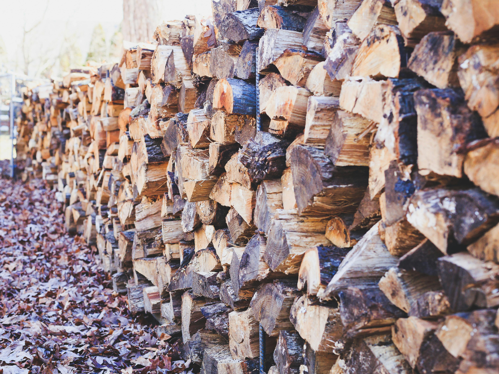Stack of wood in the fall leaves