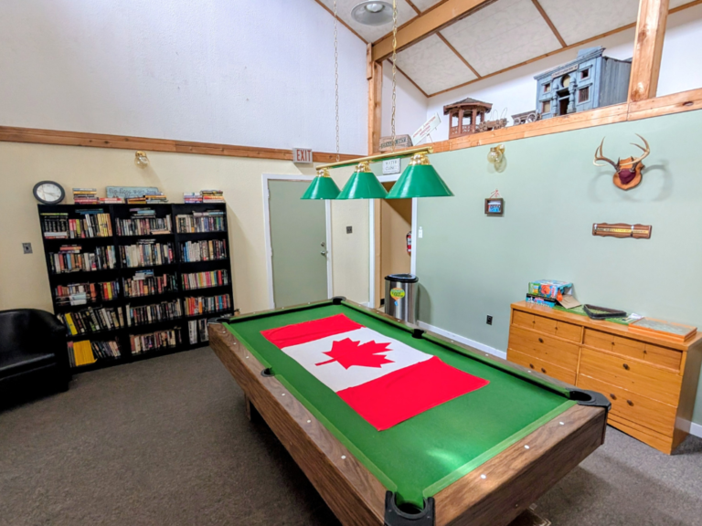 Pool table, movie & book shelves in the clubhouse.